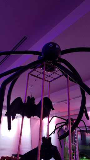 Event Venue «Venezzia the Venue», reviews and photos, 5 Event Center Blvd, Brownsville, TX 78526, USA