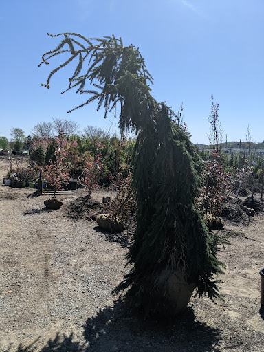 Garden Center «Quality Gardens», reviews and photos, 409 PA-228, Valencia, PA 16059, USA