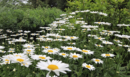 Garden Center «Flowerland», reviews and photos, 4321 28th St SE, Kentwood, MI 49508, USA