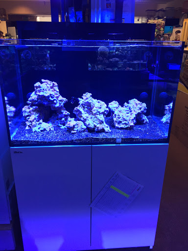 Pet Store «Underwater World Discount Pets», reviews and photos, 2 Galleria Mall Dr # 185, Taunton, MA 02780, USA