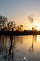 Photo n°5 de Marais de Bonnance à Templeuve-en-Pévèle ()