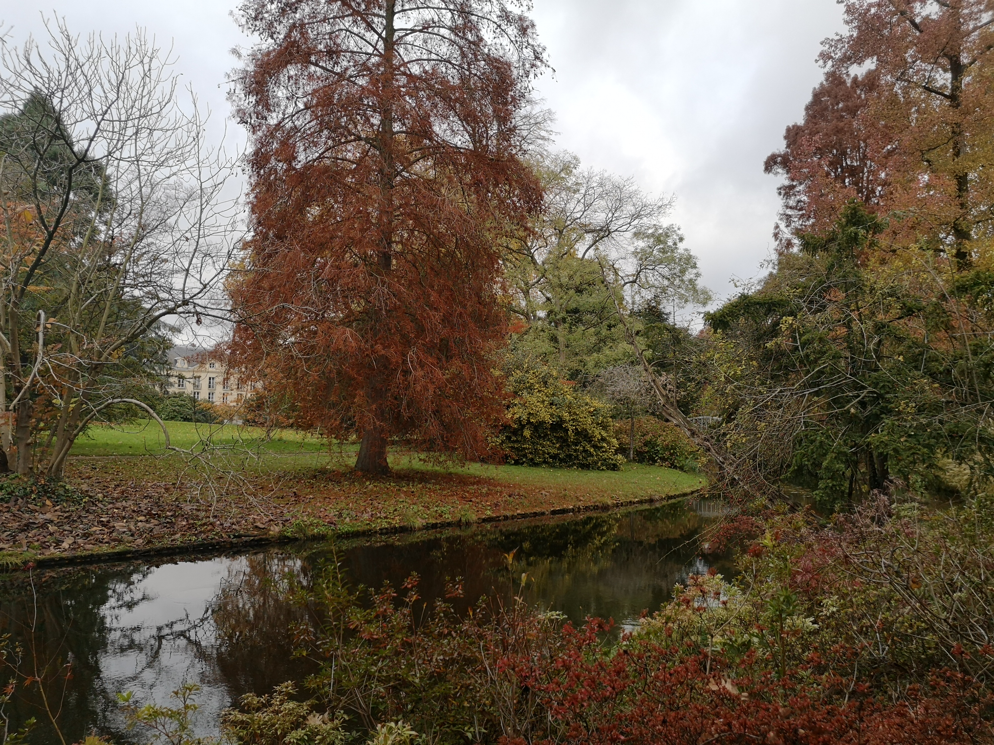 Photo n° 4 de l'avis de soushana.o fait le 24/11/2019 à 20:22