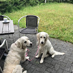 Photo n°1 de l'avis de Rehbein.o fait le 23/06/2018 à 04:16 sur le  Café & Restaurant Orchidee Am Handweiser à Herten