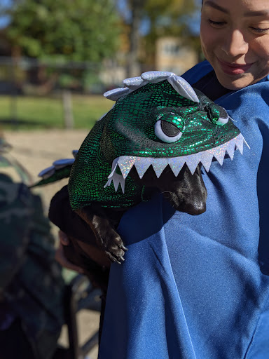 Dog Park «Portage Dog Friendly Area», reviews and photos, 4100 N Long Ave, Chicago, IL 60641, USA