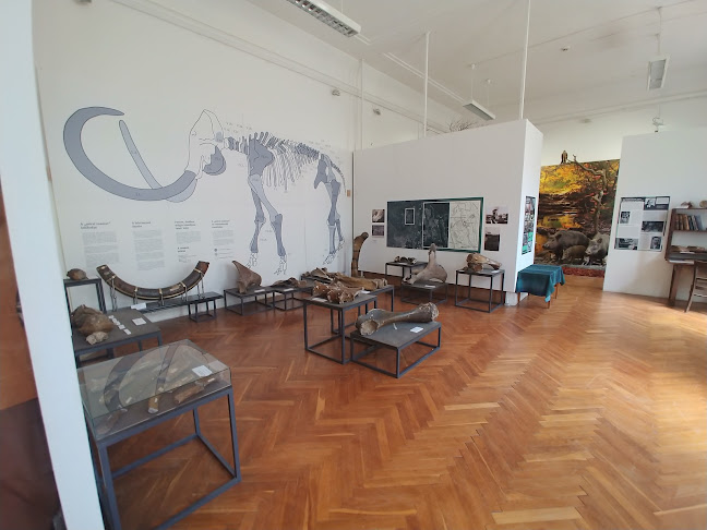 Természettudományi Múzeum - Pécs