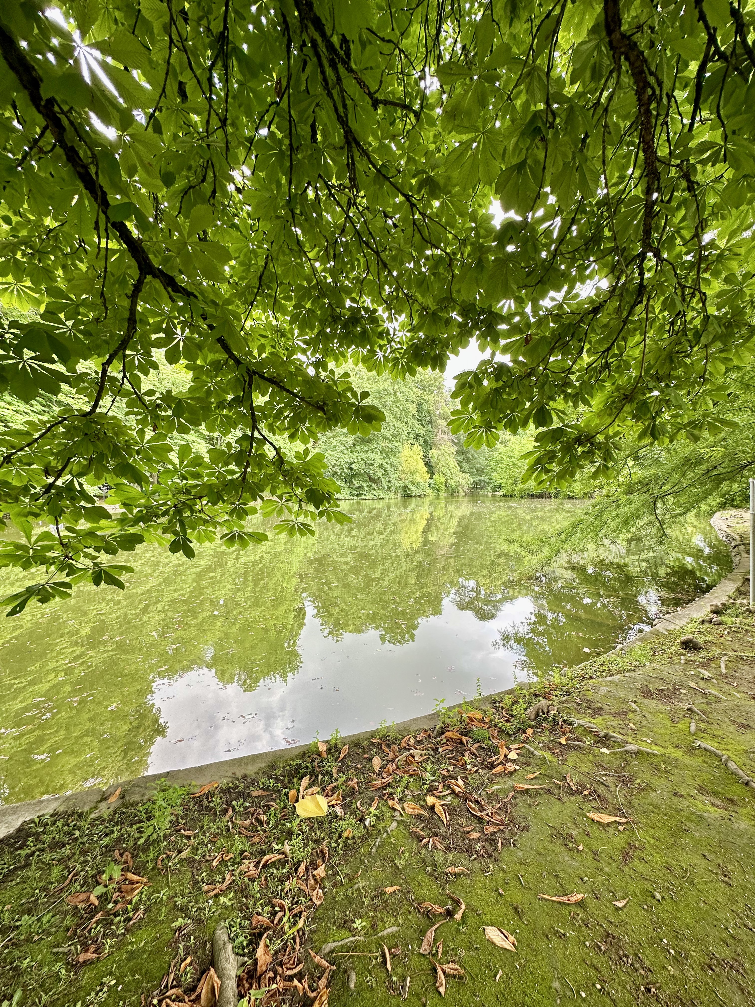 Photo n° 27 de l'avis de Laurence.a fait le 17/06/2023 à 13:31