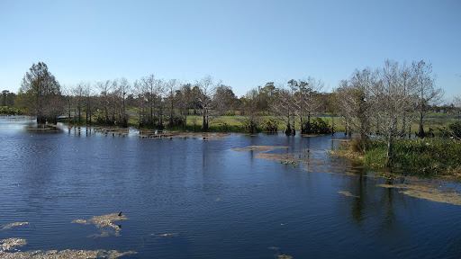 Golf Course «Sandhill Crane Golf Club, a Palm Beach Gardens Signature Facility», reviews and photos, 11401 Northlake Blvd, Palm Beach Gardens, FL 33412, USA