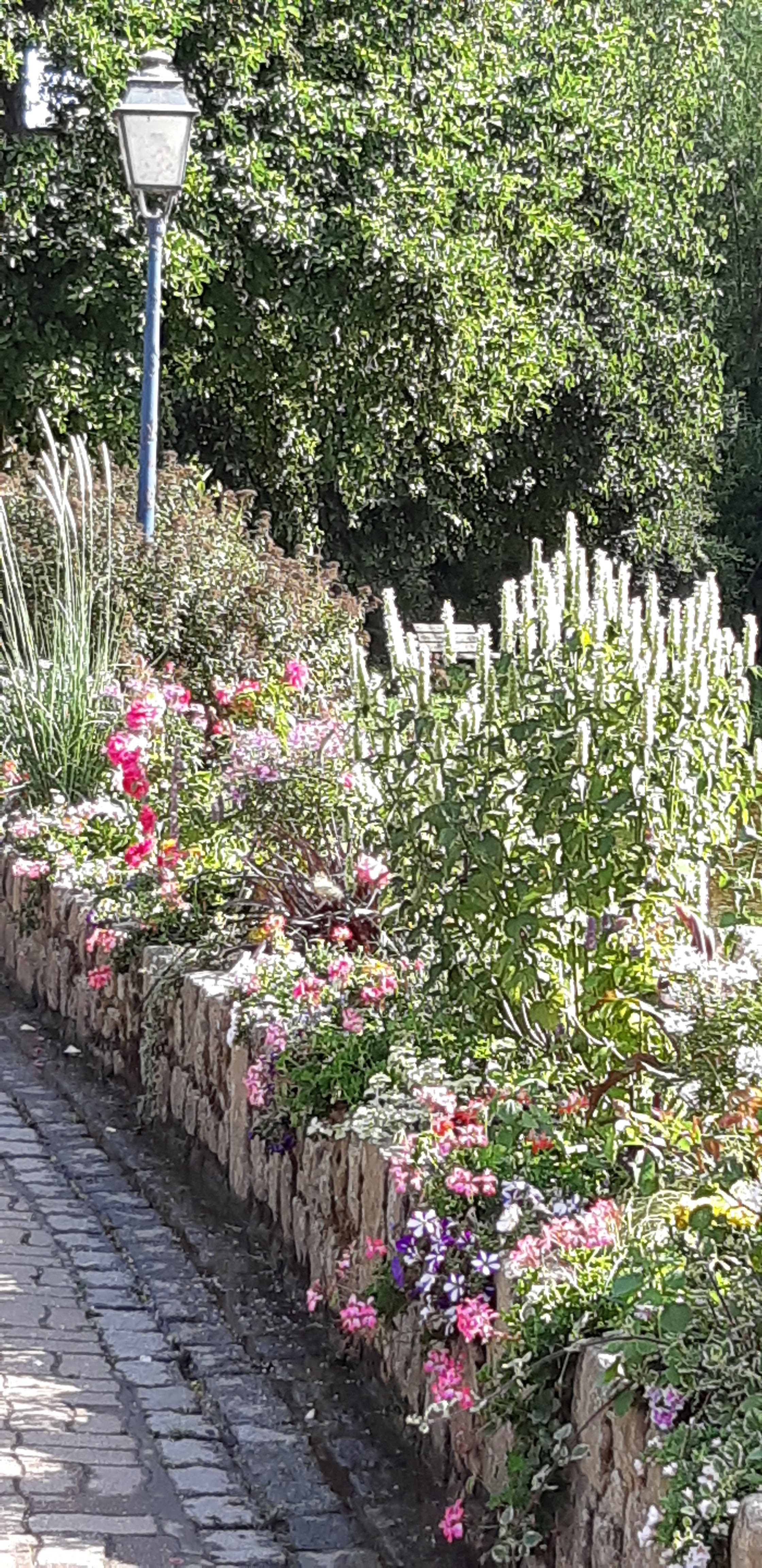 Photo n° 6 de l'avis de David.r fait le 02/08/2018 à 11:45