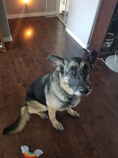 Pet Supply Store «PetSmart», reviews and photos, 2356 W State Rte 89A, Sedona, AZ 86336, USA