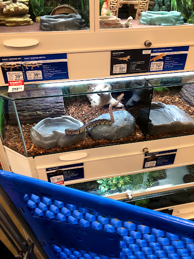 Pet Supply Store «PetSmart», reviews and photos, 2303 Jackson Ave W, Oxford, MS 38655, USA