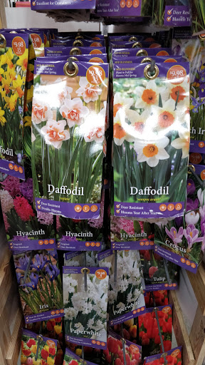 Home Improvement Store «The Home Depot», reviews and photos, 795 Veterans Pkwy, Normal, IL 61761, USA