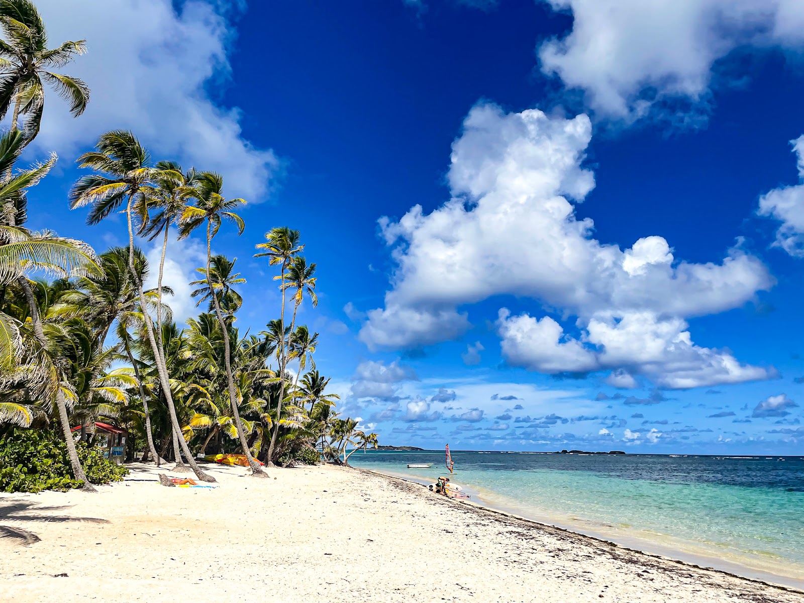 Anse Michel beach'in fotoğrafı - rahatlamayı sevenler arasında popüler bir yer