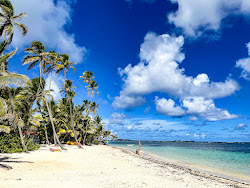 Anse Michel beach'in fotoğrafı - rahatlamayı sevenler arasında popüler bir yer