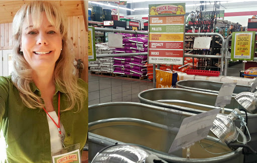 Home Improvement Store «Tractor Supply Co.», reviews and photos, 1161 Broadway, Bangor, ME 04401, USA