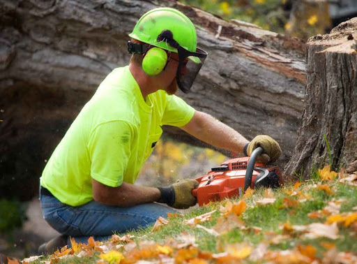 Forestwood Tree Service
