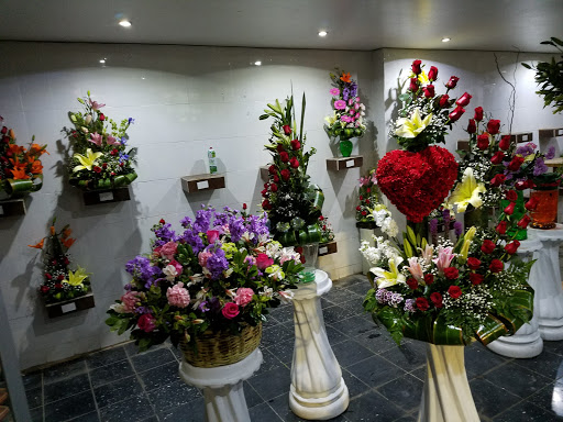 Floreria Ave Del Paraiso – Ciudad Cuauhtemoc