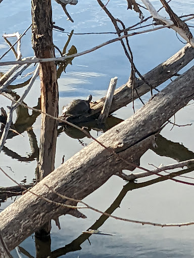 Nature Preserve «Bluff Lake Nature Center», reviews and photos, 3400 Havana Way, Denver, CO 80238, USA