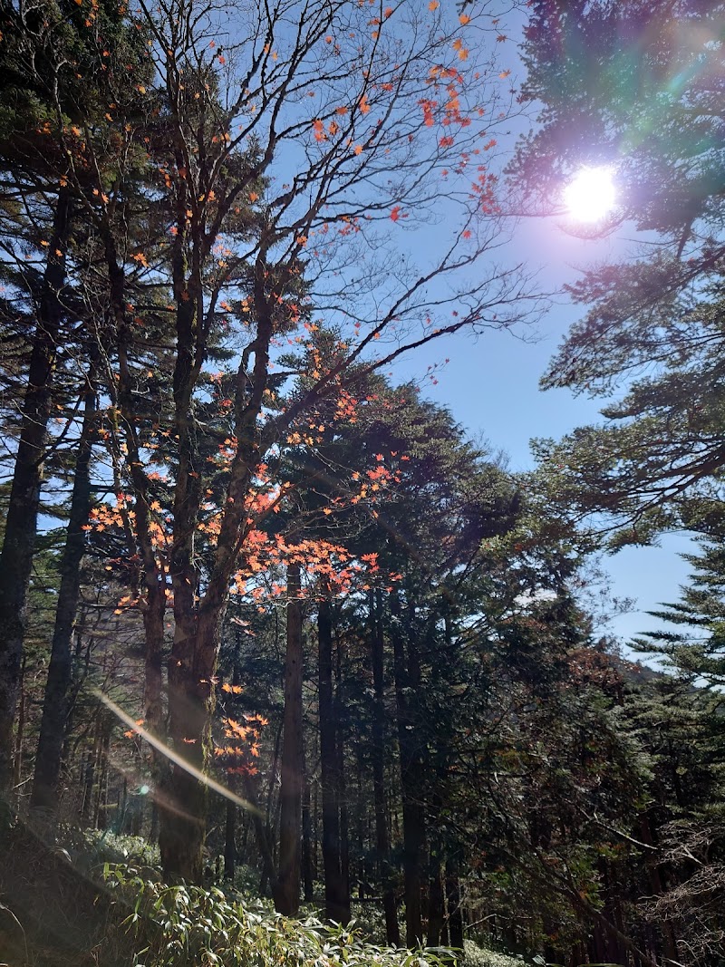 心 湯治館 奈良県上北山村小橡 民宿 グルコミ