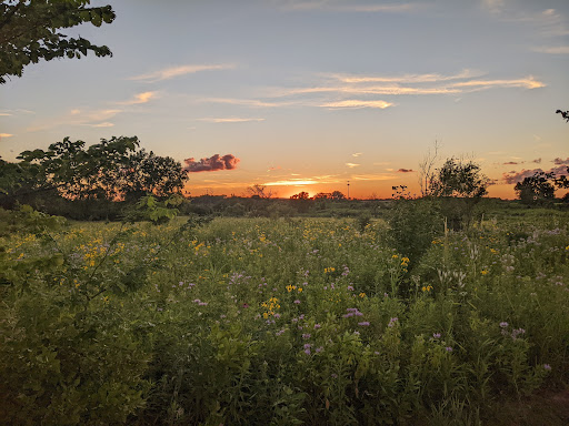 State Park «James Pate Philip State Park», reviews and photos, 2050 W Stearns Rd, Bartlett, IL 60103, USA
