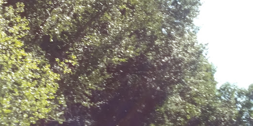 Park «Endicott Park (Town of Danvers)», reviews and photos, 57 Forest St, Danvers, MA 01923, USA