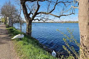 Damhussøen image
