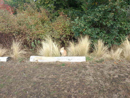 Park «Fremont Peak Park», reviews and photos, 4357 Palatine Ave N, Seattle, WA 98103, USA