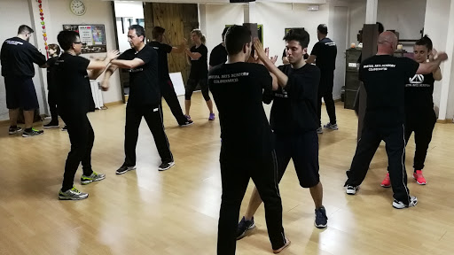 Wing Chun Kung Fu Colmenarejo en Madrid, Madrid