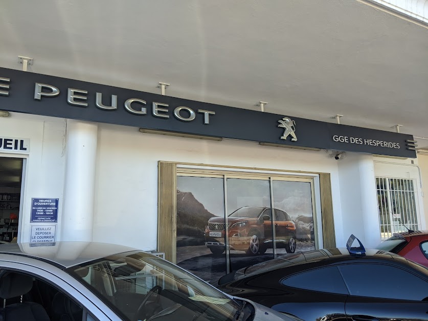 PEUGEOT - GARAGE DES HESPERIDES à Nice (Alpes-Maritimes 06)