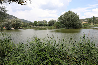 Plan d'eau de Monieux à Monieux