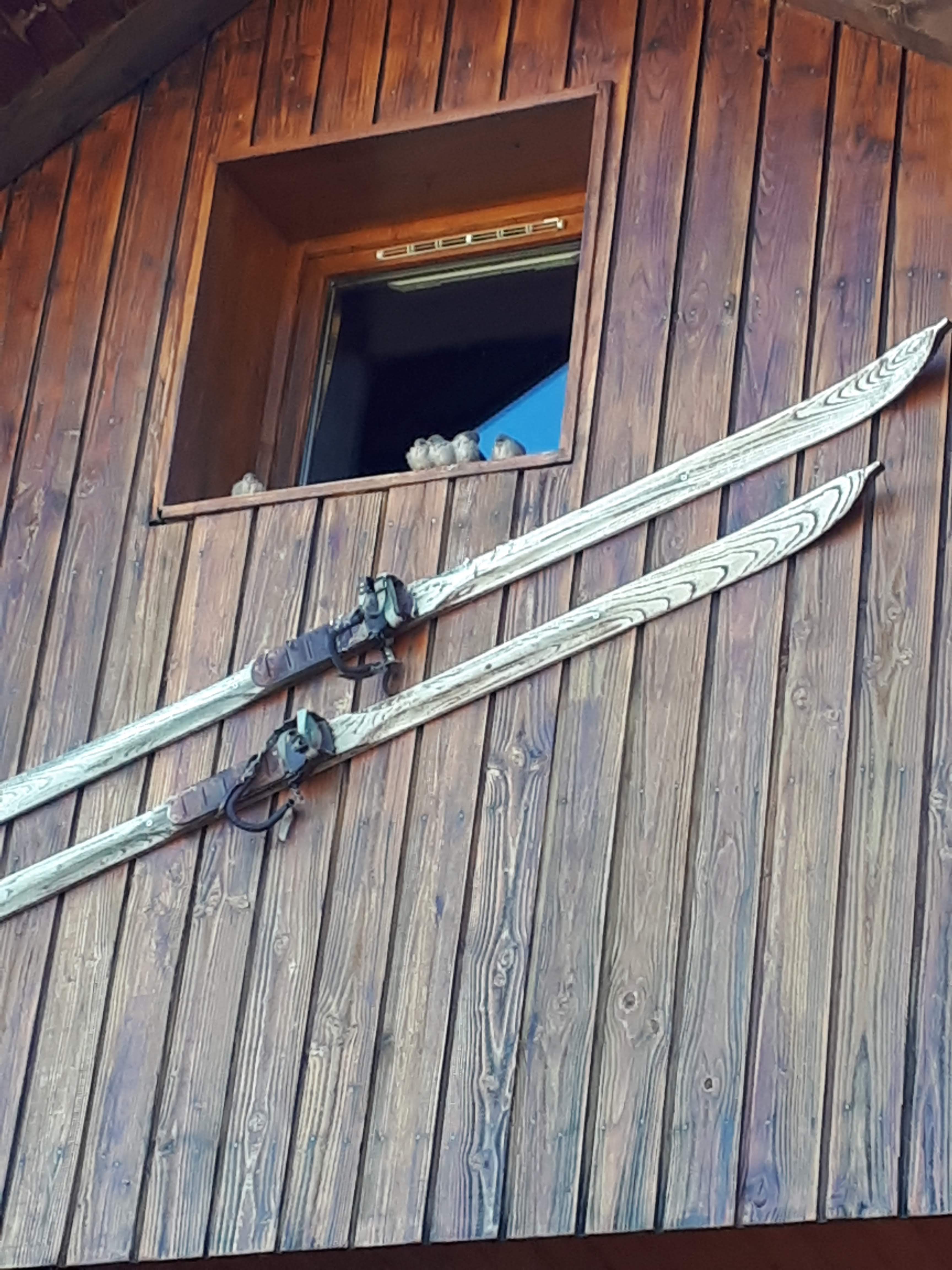 Photo n° 1 de l'avis de Brigitte.h fait le 23/08/2019 à 09:21