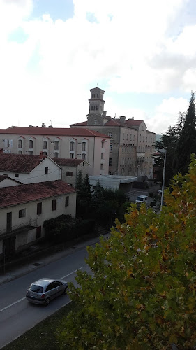 Radno vrijeme Pazinski kolegij