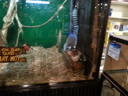 Pet Store «Pet Kingdom», reviews and photos, 4650 S Cleveland Ave, Fort Myers, FL 33907, USA