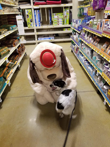 Pet Supply Store «PetSmart», reviews and photos, 2770 FM 365 c, Port Arthur, TX 77640, USA