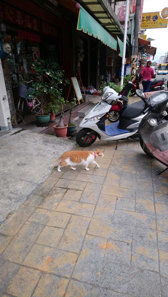 清心福全名間南雅店-珍珠奶茶手搖飲料專賣店 的照片