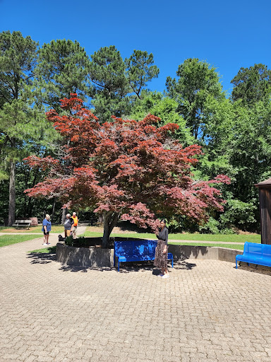 Visitor Center «Golden Pond Visitor Center & Planetarium», reviews and photos, 238 Visitor Center Dr, Golden Pond, KY 42211, USA