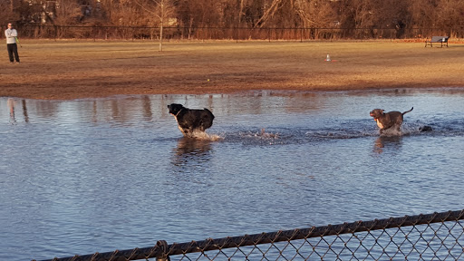 Dog Park «Carol Stream Bark Park», reviews and photos, 280 Kuhn Rd, Carol Stream, IL 60188, USA