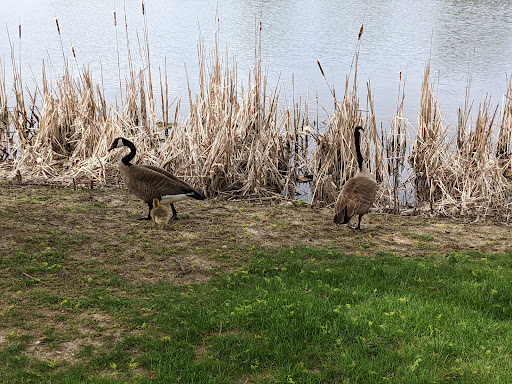 Nature Preserve «Lakewood Forest Preserve», reviews and photos, 27277 N Forest Preserve Rd, Wauconda, IL 60084, USA