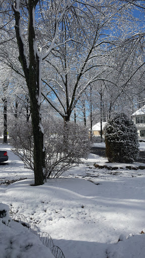 Park «Merrill Park», reviews and photos, Fairview Ave, Colonia, NJ 07067, USA