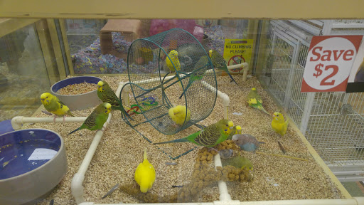 Pet Supply Store «Pet Supermarket», reviews and photos, 7070 College Pkwy, Fort Myers, FL 33907, USA