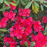 Photo n°1 de l'avis de Claudia.e fait le 09/05/2022 à 09:10 sur le  LANDHAUS ALTE SCHMIEDE à Niemegk