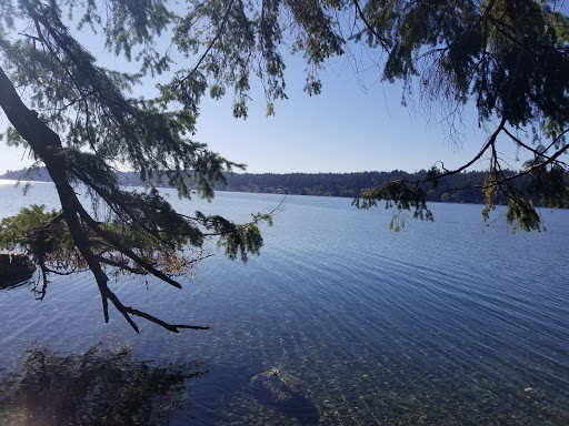 Nature Preserve «Gazzam Lake Nature Preserve», reviews and photos, 6105 NE Marshall Rd, Bainbridge Island, WA 98110, USA
