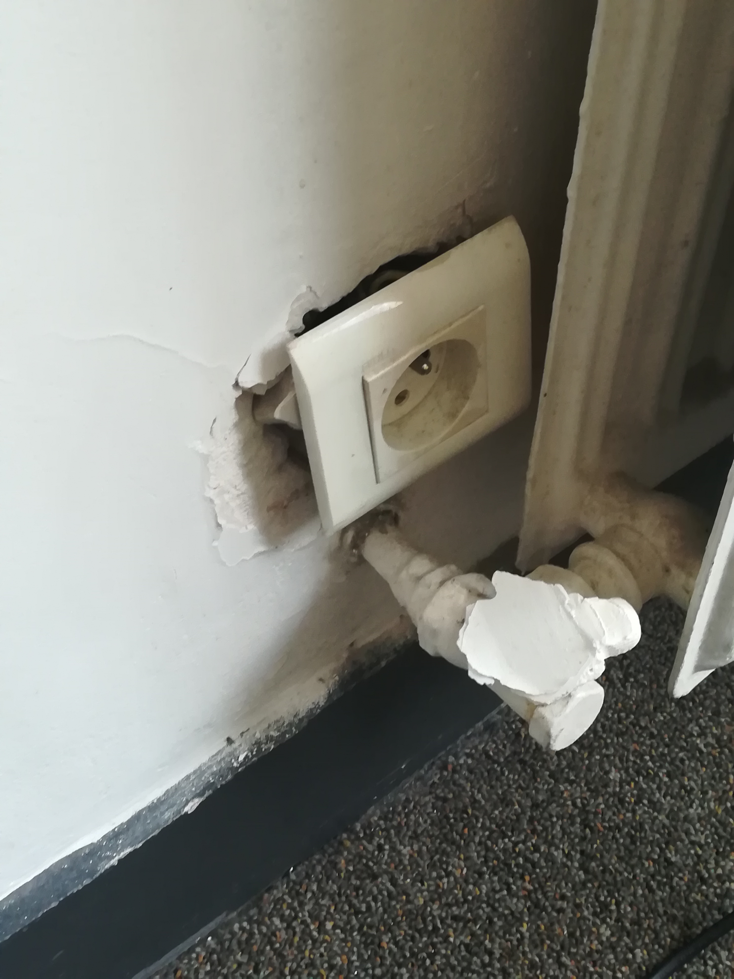 Photo n° 5 de l'avis de Mirko.o fait le 18/08/2019 à 20:52