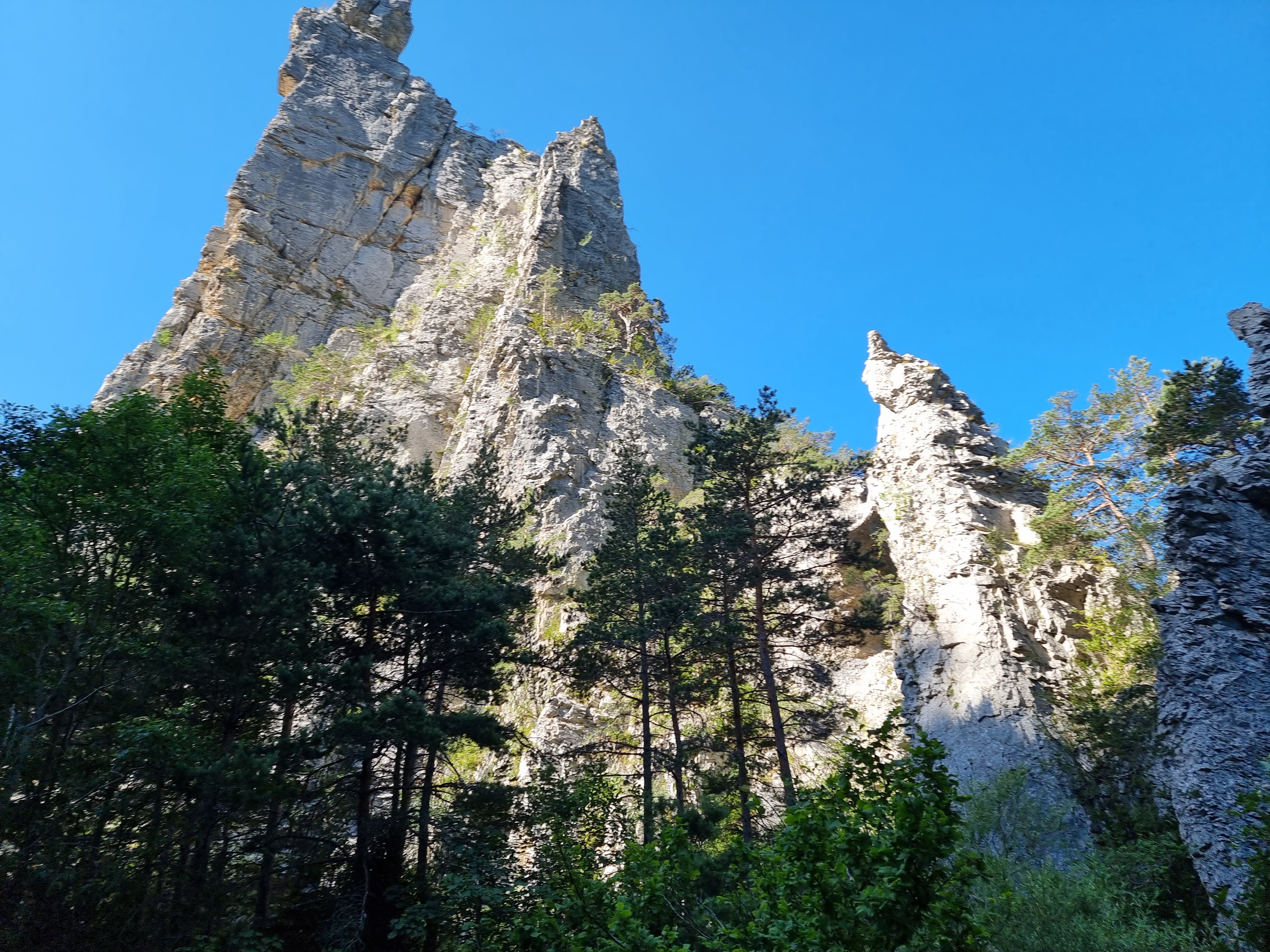 Photo n° 5 de l'avis de Viktória.i fait le 16/07/2022 à 13:58