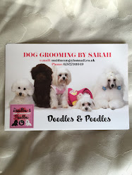 Sarah @ Doodles and poodles dog grooming