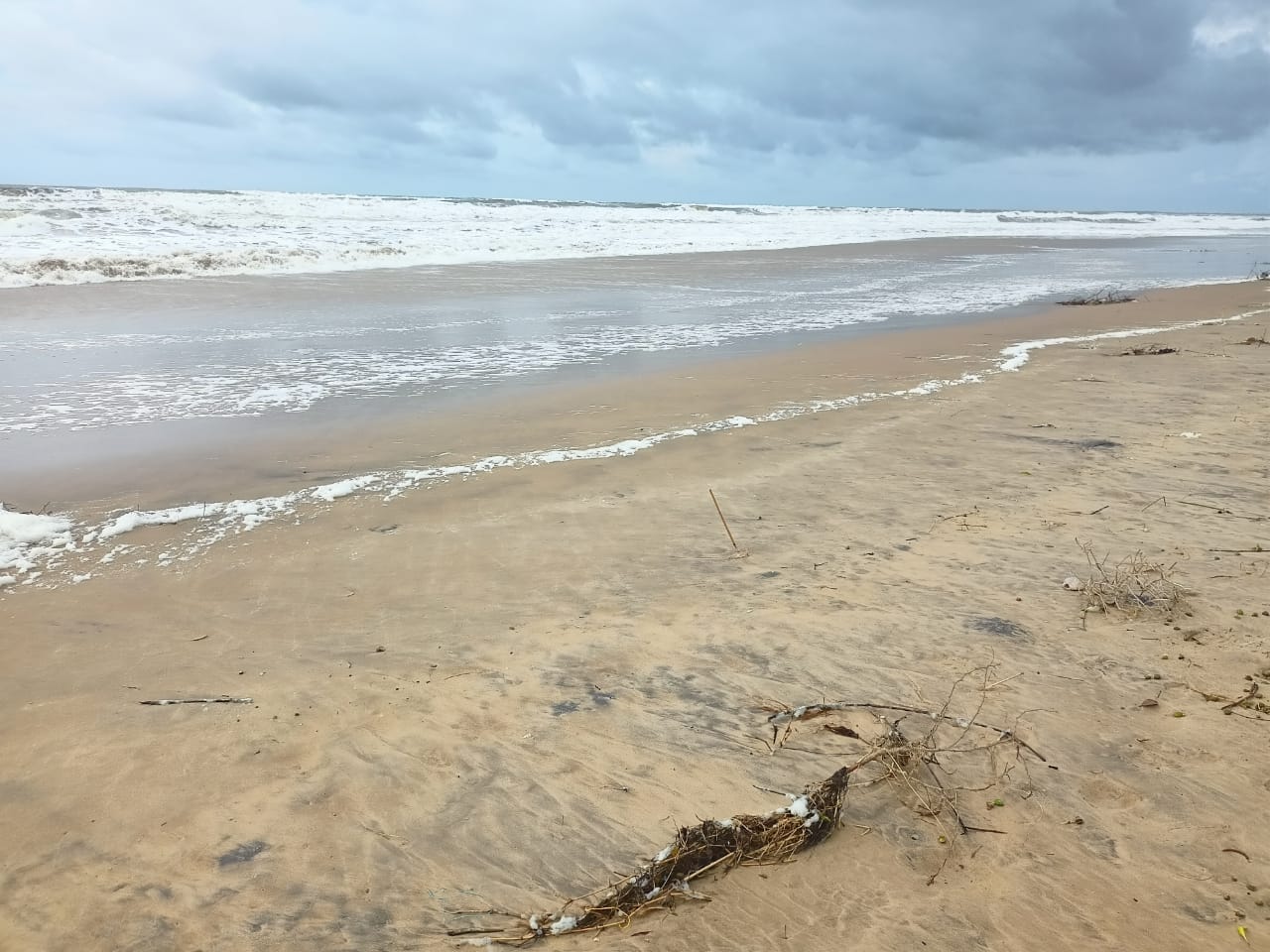 Siali Sea Beach photo #8