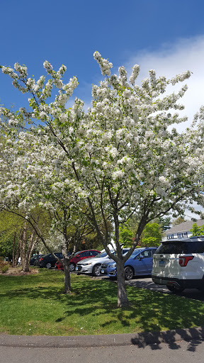 Golf Course «Sterling Farms Golf Course», reviews and photos, 1349 Newfield Ave, Stamford, CT 06905, USA