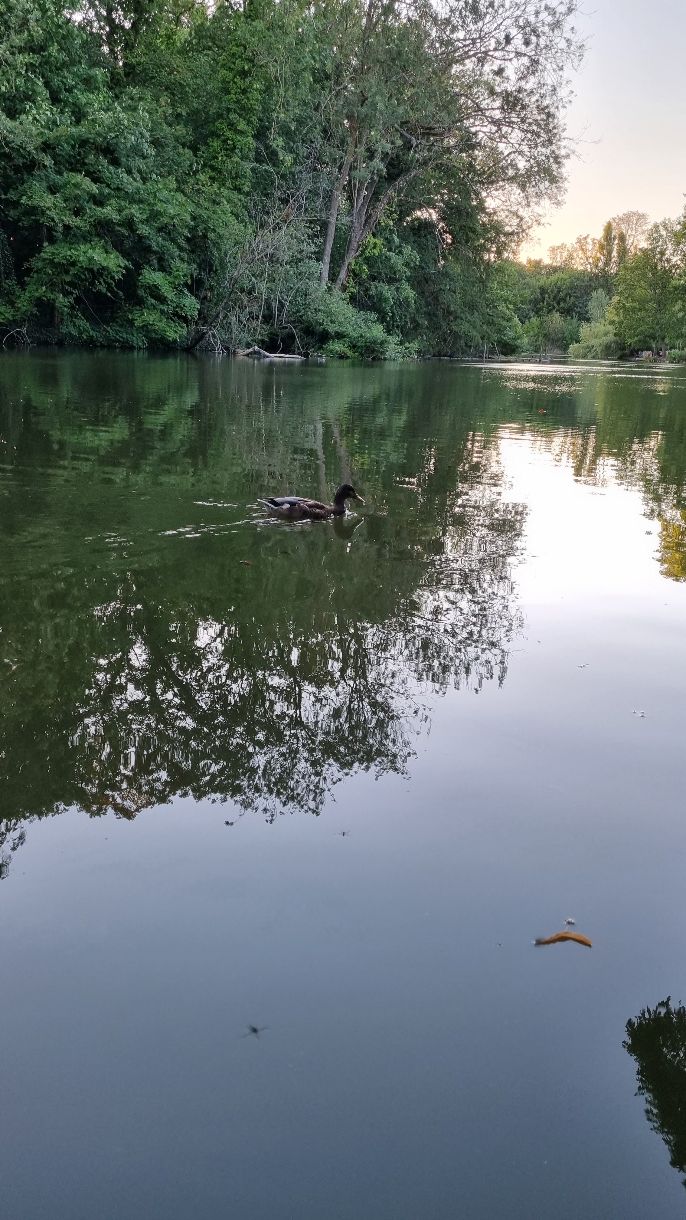 Photo n° 1 de l'avis de Stavroula.a fait le 09/08/2022 à 08:23