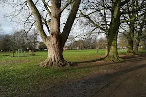 Thornton Park image