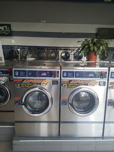 Laundromat «Express Laundry World», reviews and photos, 1443 Springfield Ave, Maplewood, NJ 07040, USA