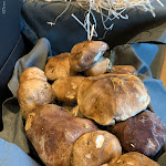 Photo n°2 de l'avis de Nicola.o fait le 28/10/2019 à 17:29 sur le  Tabula Rasa à Bari